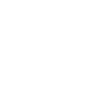 Kasteel-Wijchen